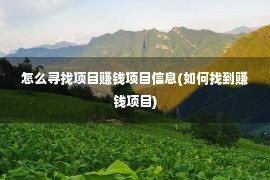 怎么寻找项目赚钱项目信息(如何找到赚钱项目)