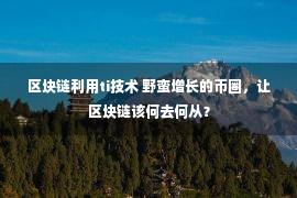 区块链利用ti技术 野蛮增长的币圈，让区块链该何去何从？