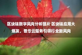 区块链数字风向分析图片 区块链应用大爆发，普华云服务引领行业新风向