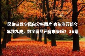 区块链数字风向分析图片 去年涨万倍今年跌九成，数字藏品还有未来吗？ 36氪新风向