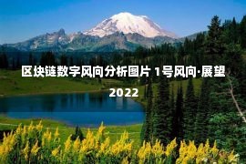 区块链数字风向分析图片 1号风向·展望2022