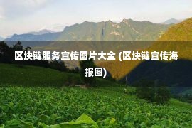 区块链服务宣传图片大全 (区块链宣传海报图)