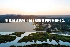 期货合约托管平台 (期货合约托管是什么)