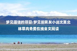 梦见赚钱的项目:梦见前男友小说沈莫北林意冉免费在线全文阅读