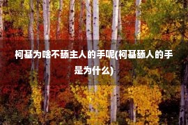 柯基为啥不舔主人的手呢(柯基舔人的手是为什么)