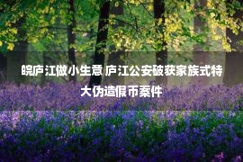 皖庐江做小生意 庐江公安破获家族式特大伪造假币案件