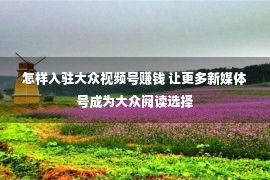 怎样入驻大众视频号赚钱 让更多新媒体号成为大众阅读选择