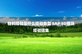 物料经验是什么经验类型 SAP SD模块经验锦集