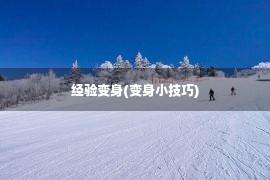 经验变身(变身小技巧)