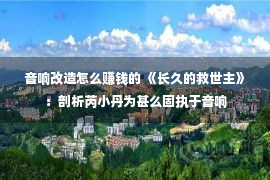 音响改造怎么赚钱的 《长久的救世主》：剖析芮小丹为甚么固执于音响