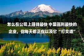 怎么在公司上赚钱最快 中国赢利最快的企业，你每天都正在以及它“打交道”