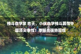 格斗自学家 昨天，小伙自学格斗踢馆中国顶尖拳馆！李景亮强势围观