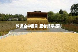 教师自学摄影 跟老师学摄影