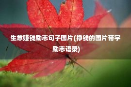 生意赚钱励志句子图片(挣钱的图片带字 励志语录)