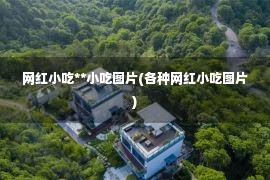 网红小吃**小吃图片(各种网红小吃图片)