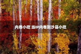 内卷小吃 当IP内卷到沙县小吃