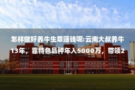 怎样做好养牛生意赚钱呢:云南大叔养牛13年，靠特色品种年入5000万，带领2万多名村民致富