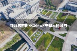 铁岭农村创业项目:辽宁省人民政府