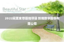 2022闲置宽带赚钱项目 创维数字股份有限公司