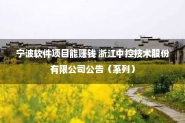 宁波软件项目能赚钱 浙江中控技术股份有限公司公告（系列）