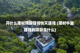 开什么建材项目赚钱快又赚钱 (建材中最赚钱的项目是什么)