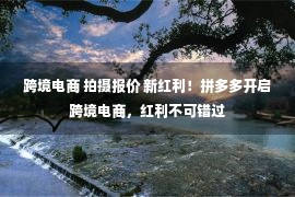 跨境电商 拍摄报价 新红利！拼多多开启跨境电商，红利不可错过