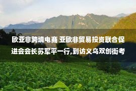 欧亚非跨境电商 亚欧非贸易投资联合促进会会长苏军平一行,到访义乌双创街考察交流