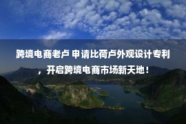 跨境电商老卢 申请比荷卢外观设计专利，开启跨境电商市场新天地！