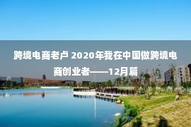 跨境电商老卢 2020年我在中国做跨境电商创业者——12月篇