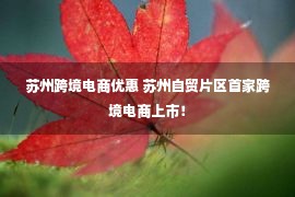 苏州跨境电商优惠 苏州自贸片区首家跨境电商上市！