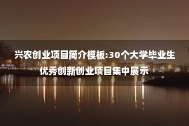 兴农创业项目简介模板:30个大学毕业生优秀创新创业项目集中展示