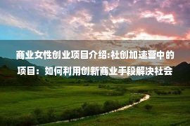 商业女性创业项目介绍:社创加速营中的项目：如何利用创新商业手段解决社会问题？