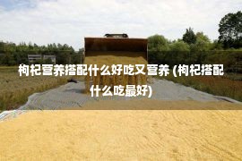 枸杞营养搭配什么好吃又营养 (枸杞搭配什么吃最好)