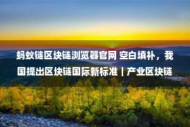 蚂蚁链区块链浏览器官网 空白填补，我国提出区块链国际新标准｜产业区块链发展周报