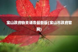 宝山政府物资通告最新版(宝山市政府官网)