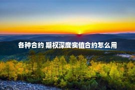 各种合约 期权深度实值合约怎么用