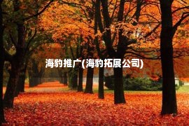 海豹推广(海豹拓展公司)