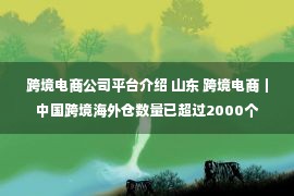 跨境电商公司平台介绍 山东 跨境电商｜中国跨境海外仓数量已超过2000个