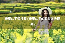 素菜丸子短视频 (素菜丸子的家常做法视频)