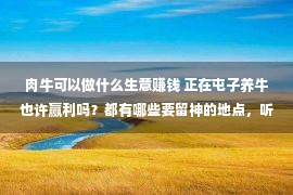 肉牛可以做什么生意赚钱 正在屯子养牛也许赢利吗？都有哪些要留神的地点，听听养牛人怎样说