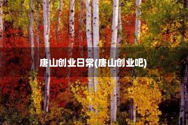 唐山创业日常(唐山创业吧)