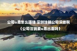 公司u盾怎么赚钱 深圳注销公司没缴税（公司注销要u盾出面吗）