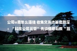 公司u盾怎么赚钱 收集交友诈骗套路深：“科技公司高管”先谈情感后教“赢利”