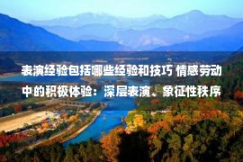 表演经验包括哪些经验和技巧 情感劳动中的积极体验：深层表演、象征性秩序与劳动自主性