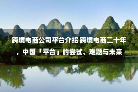 跨境电商公司平台介绍 跨境电商二十年，中国「平台」的尝试、难题与未来