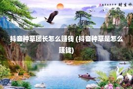 抖音种草团长怎么赚钱 (抖音种草是怎么赚钱)