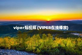 viper短视频 (VIPER在线播放)