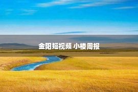 金阳短视频 小楼周报