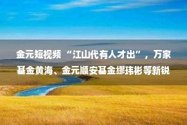 金元短视频 “江山代有人才出”，万家基金黄海、金元顺安基金缪玮彬等新锐基金经理正在脱颖而出