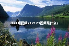 121短视频 (12123视频是什么)